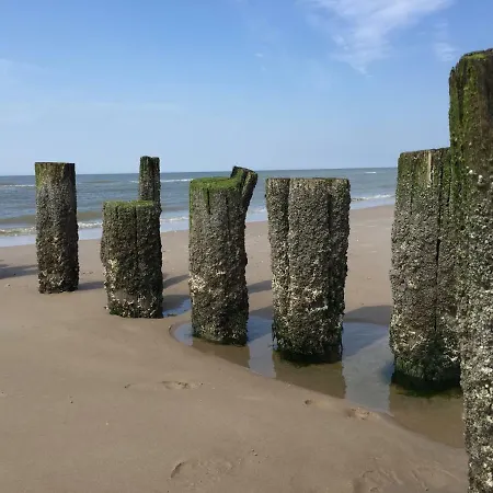 Polderzicht