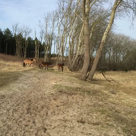 Polderzicht